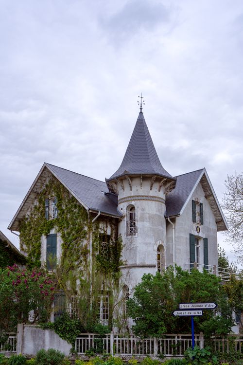 Free French chateau with ivy, a tower, and lush greenery in springtime. Stock Photo