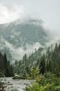 Green Trees on Mountain