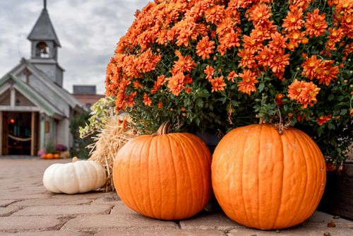 Free Vibrant autumn scene featuring pumpkins and orange chrysanthemums at a rustic church entrance. Stock Photo