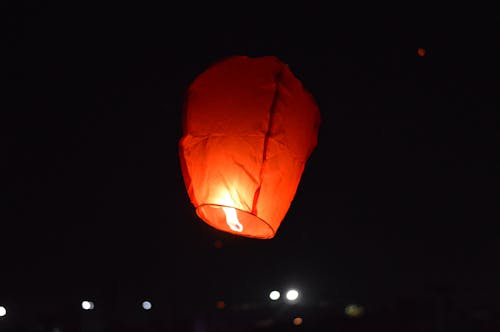 Free stock photo of ahmedabad, festival, kite