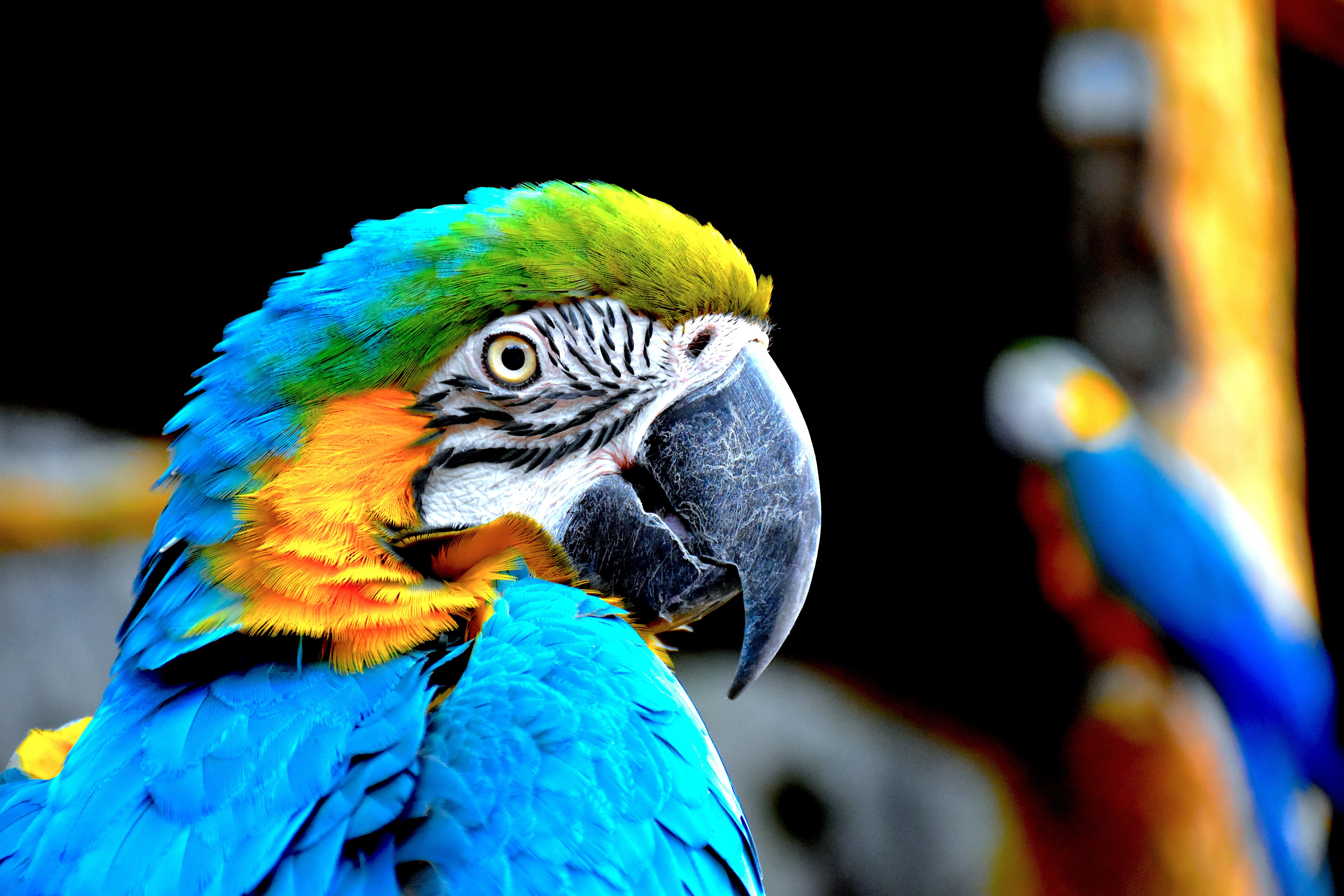 Grow Your Amazon Business with Amazon Seller Performance Notifications Explained