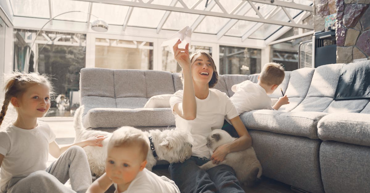 How much do chinchillas cost at pets at home