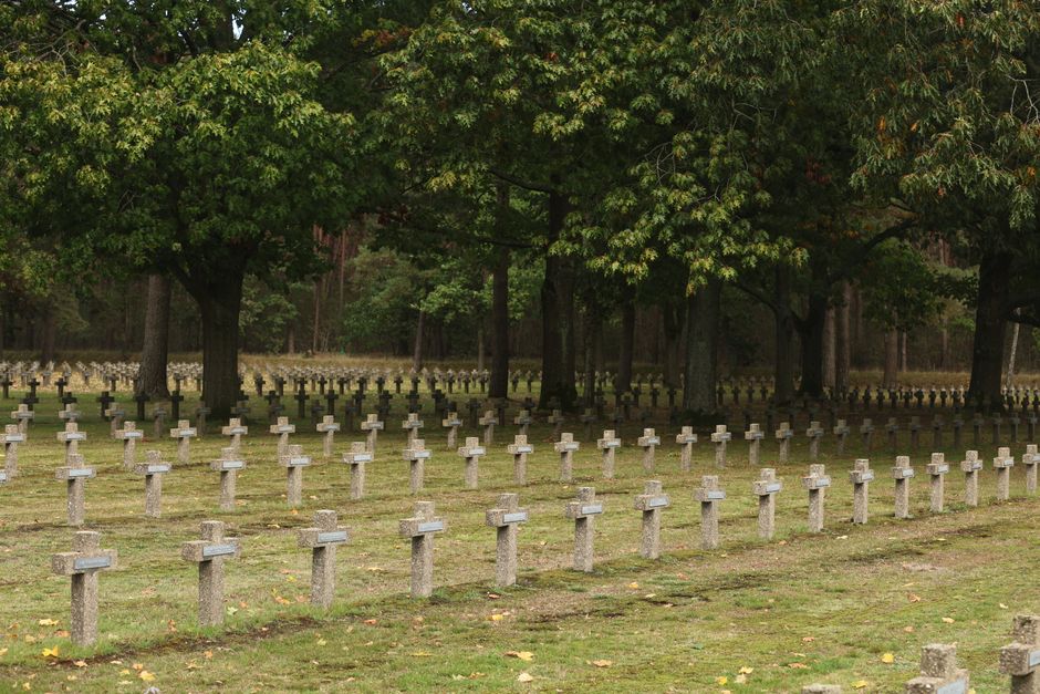 Fotomural Una vista serena de un cementerio militar en Lommel, Bélgica, con hileras de cruces bajo frondosos árboles.