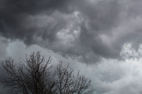 Free Dramatic stormy sky with dark clouds looming over bare tree branches, capturing a moody atmosphere. Stock Photo