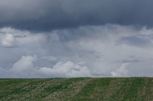 Free Dark clouds hover above a grassy field in Hungary, creating a dramatic and moody scene. Stock Photo