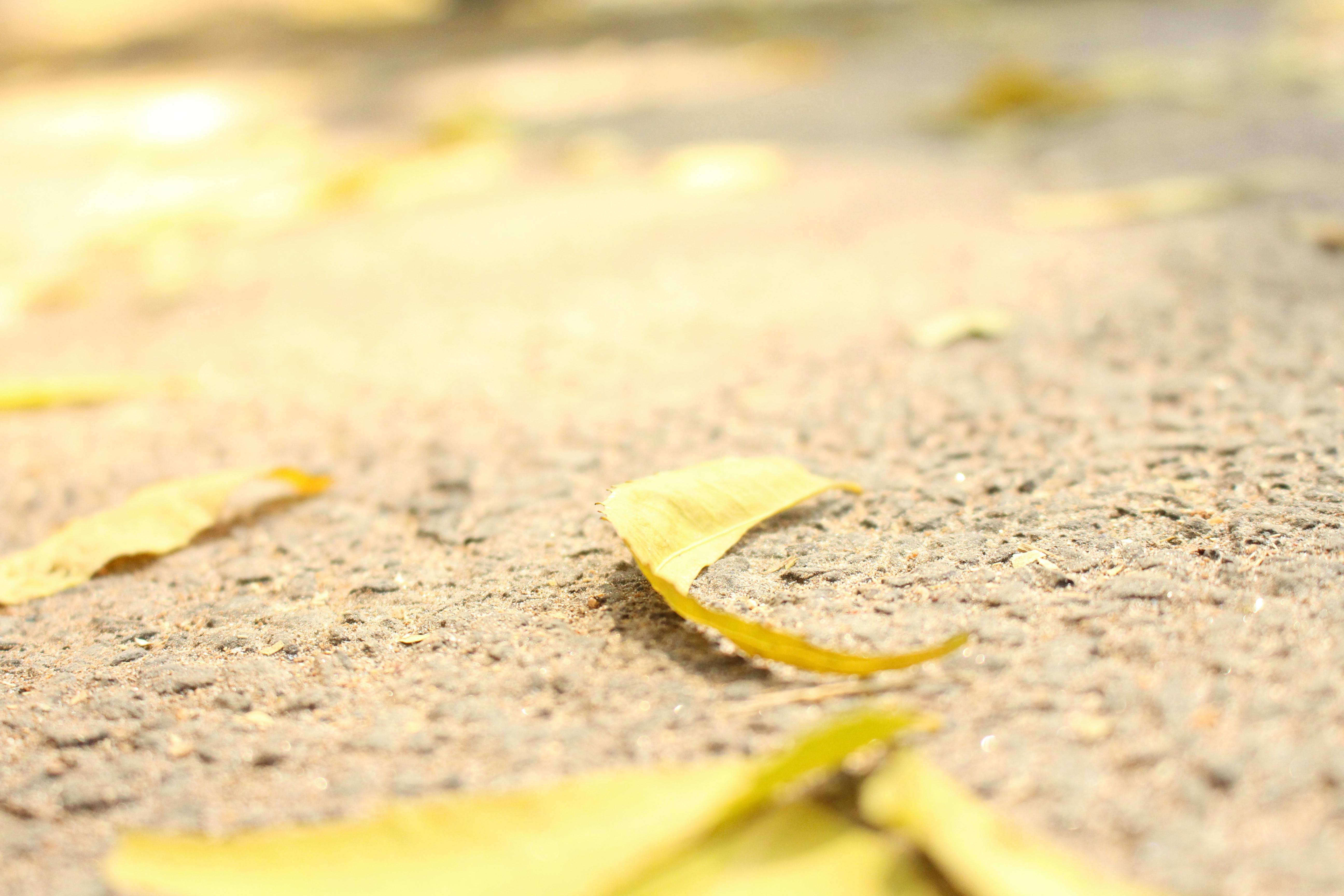 Difference Between Camping Propane And Torch Propane Difference