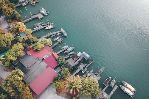 Бесплатное стоковое фото с вода, гавань, деревья