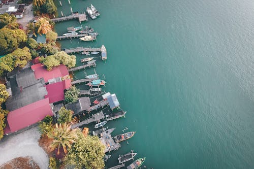 Aerial View of Houses and Boats Near Body of Water