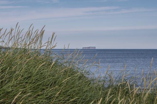 Free Tranquil seaside landscape with grass and distant island under a clear blue sky. Stock Photo