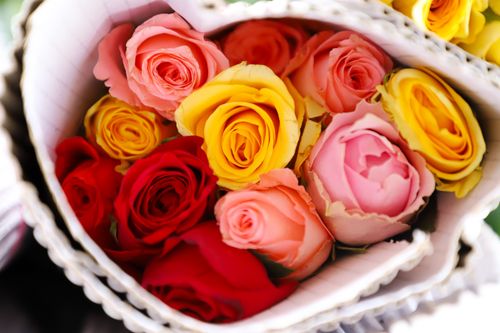 Free A top-down view of a colorful bouquet of roses featuring red, yellow, and pink blooms. Stock Photo