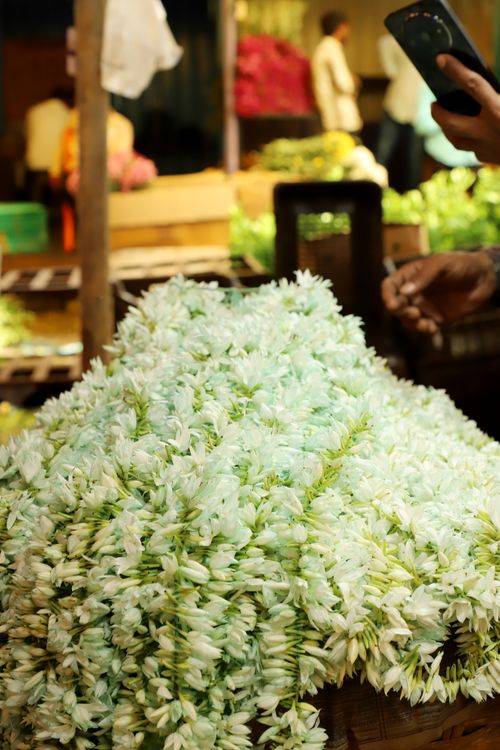 Free A vibrant display of fresh jasmine flowers at a bustling local market with people in the background. Stock Photo