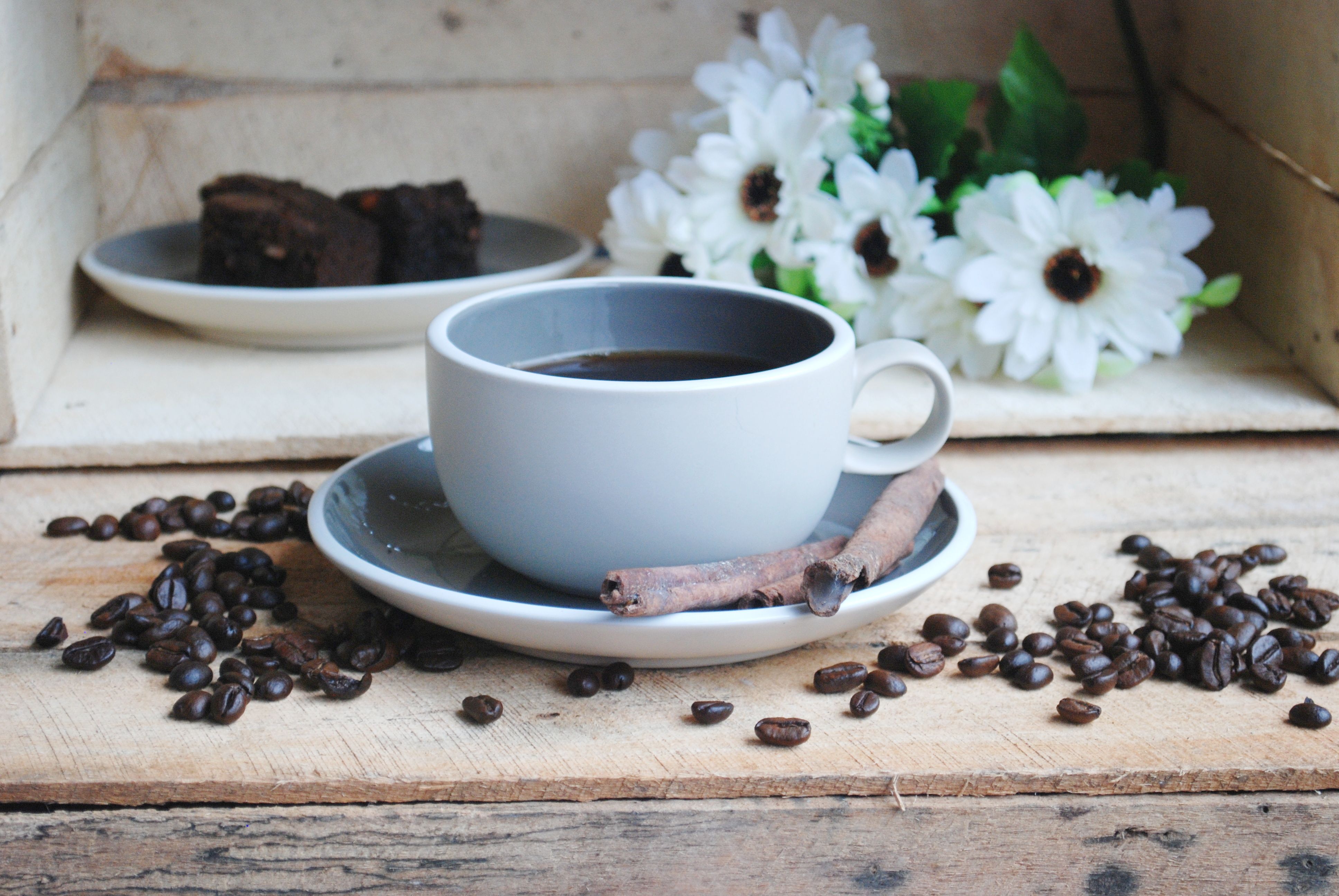 Black Beans and Chocolate Breakfast Cake