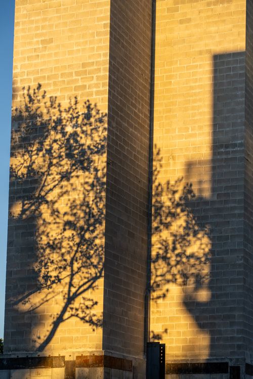 Free A building facade in Somerville, Massachusetts, beautifully illuminated by sunlight, casting tree shadows. Stock Photo