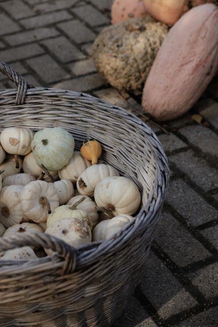 Fotomural Una cesta rústica llena de calabazas blancas y naranjas, que simboliza la cosecha de otoño.