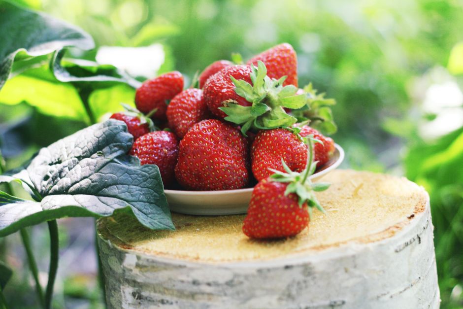 Close-up of fresh strawberries on a plate outdoors in a garden.