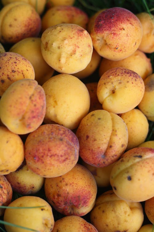 Yellow and Pink Round Fruits