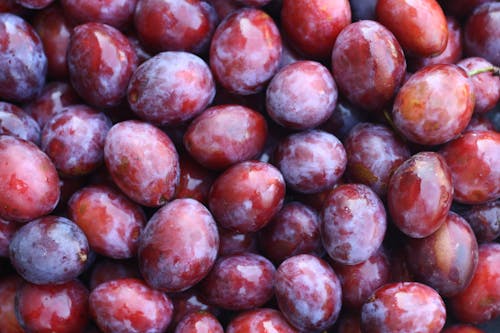 Red Round Fruits