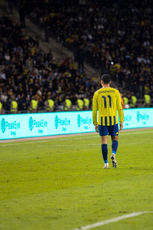 Free A footballer in yellow and blue kit walks on the field during a night match with a crowd watching. Stock Photo