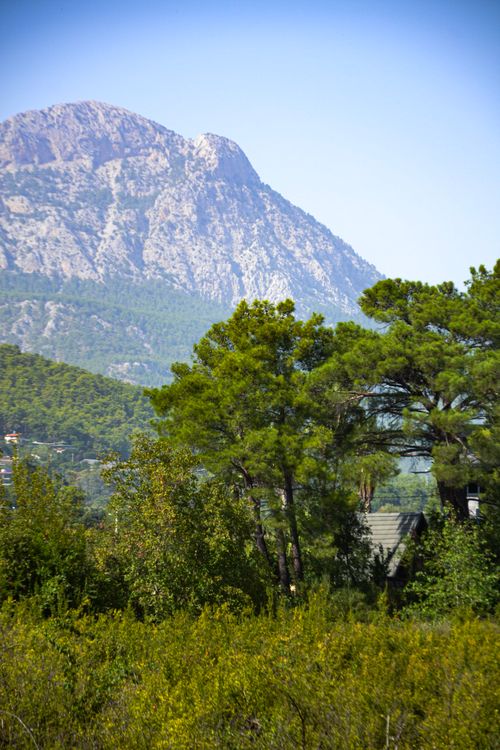 Free Beautiful mountain landscape with lush trees against a clear sky. Stock Photo