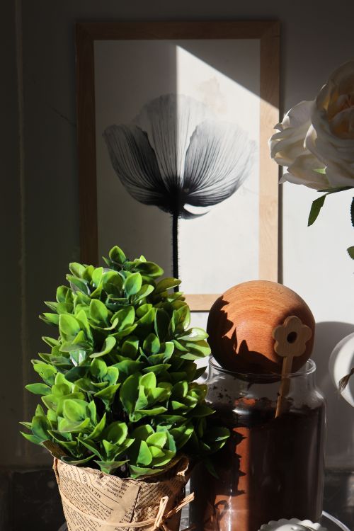 Free Aesthetic indoor plant scene with natural lighting and floral art. Stock Photo