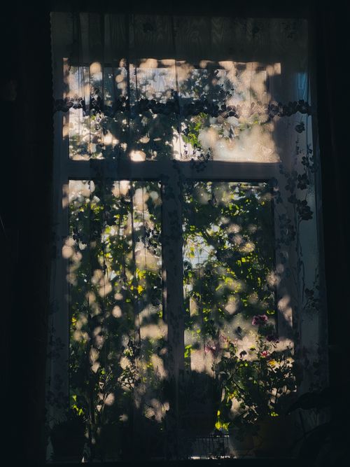 Free Sunlight casting shadows through a window with floral curtains, creating a serene indoor-outdoor atmosphere. Stock Photo