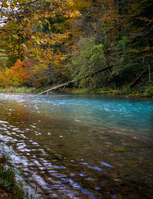 Free Tranquil river in autumn surrounded by colorful foliage and calm reflections. Stock Photo