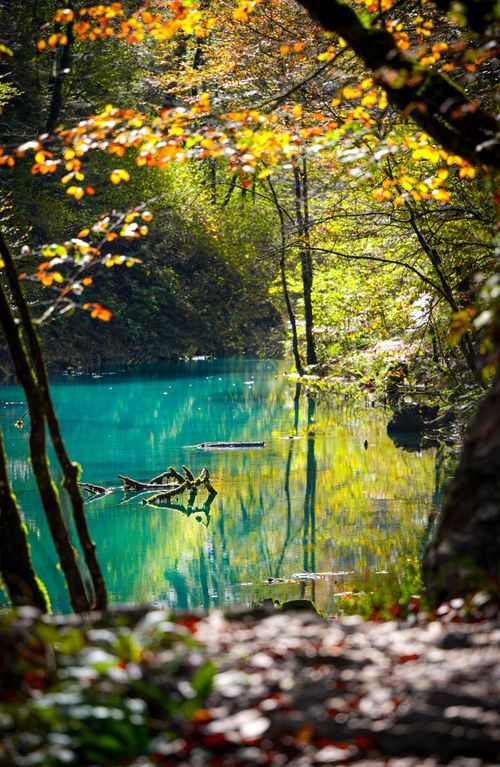 Free Peaceful turquoise pond in a forest surrounded by colorful autumn leaves. Stock Photo