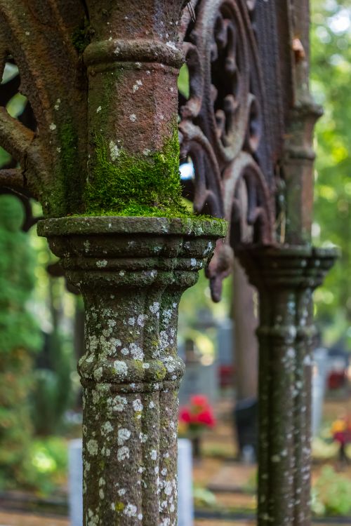 Free Close-up of a mossy, ornate column in an outdoor forest setting. Stock Photo