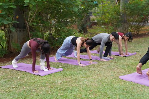 Free A group of adults practicing yoga on purple mats in a sunny outdoor park setting. Stock Photo