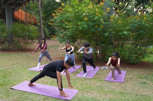 Free A group of adults practicing yoga outdoors on purple mats in a lush park setting. Stock Photo