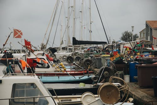 
Boats Docked on a Marina