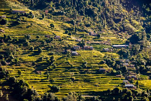 Free A beautiful landscape showing terraced fields on a hillside under bright daylight. Stock Photo