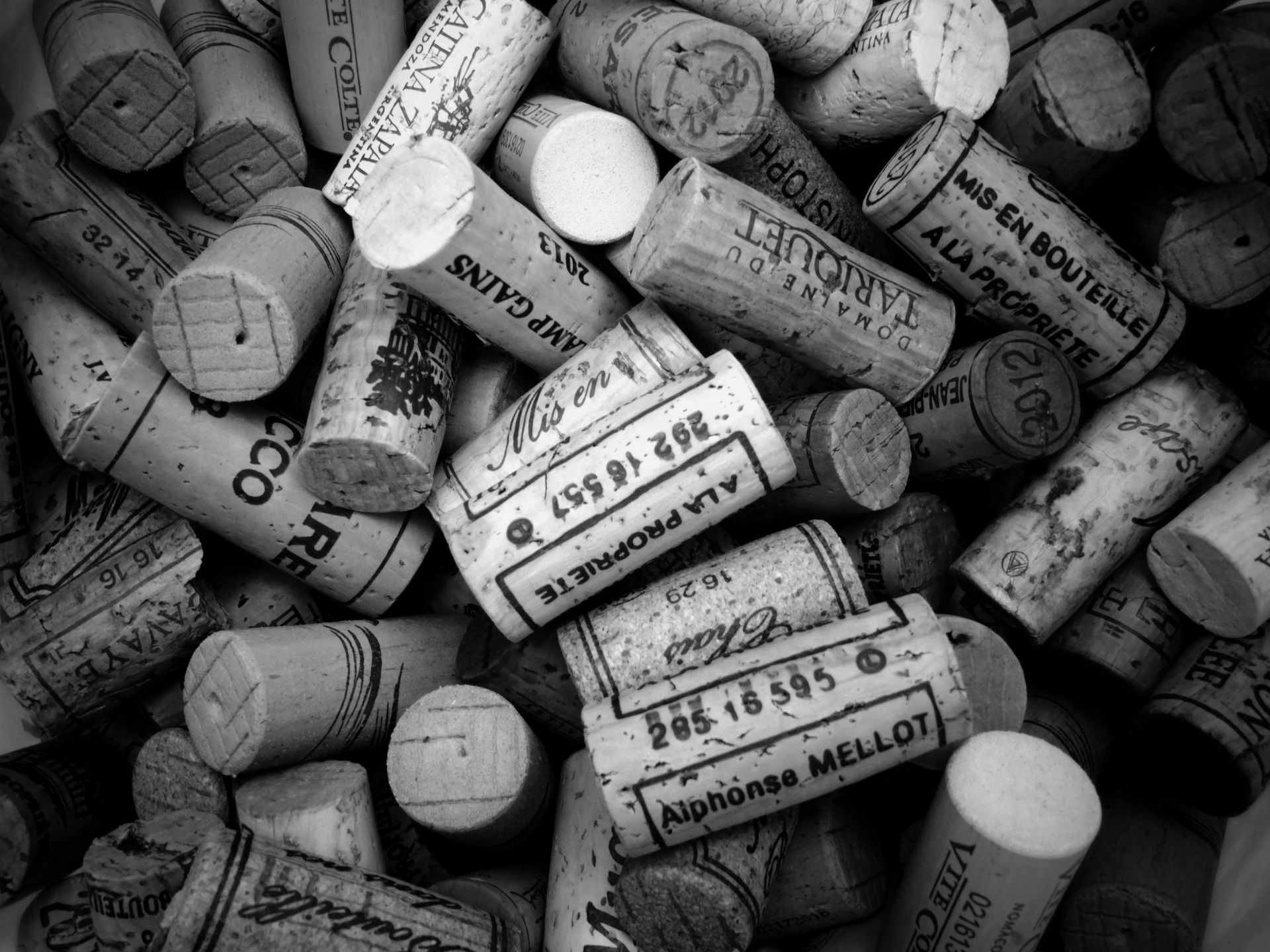 Grayscale Photography of Cork Lot