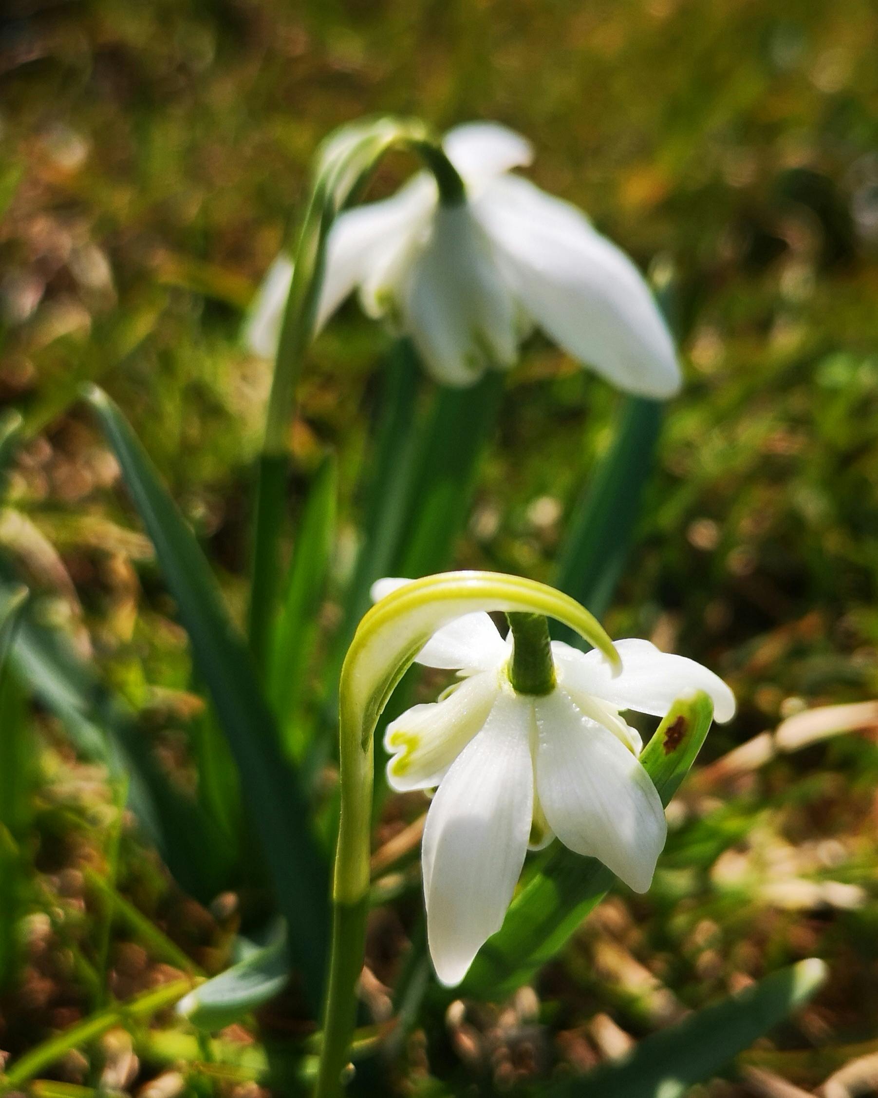 Close-up of daily pill organizer with multiple medications