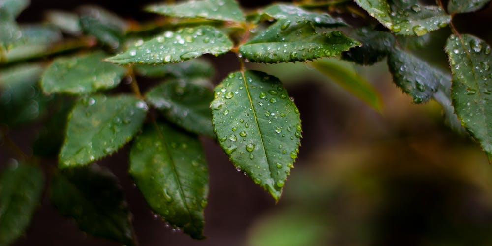 Pros y contras de los calentadores de agua sin tanque Una guía para elegir la mejor opción