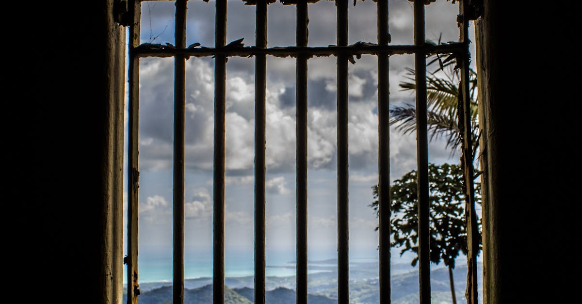 Free stock photo of arched window, rain forest, San Juan Puerto Rico