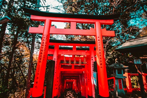 Free stock photo of japan, japanese culture, red