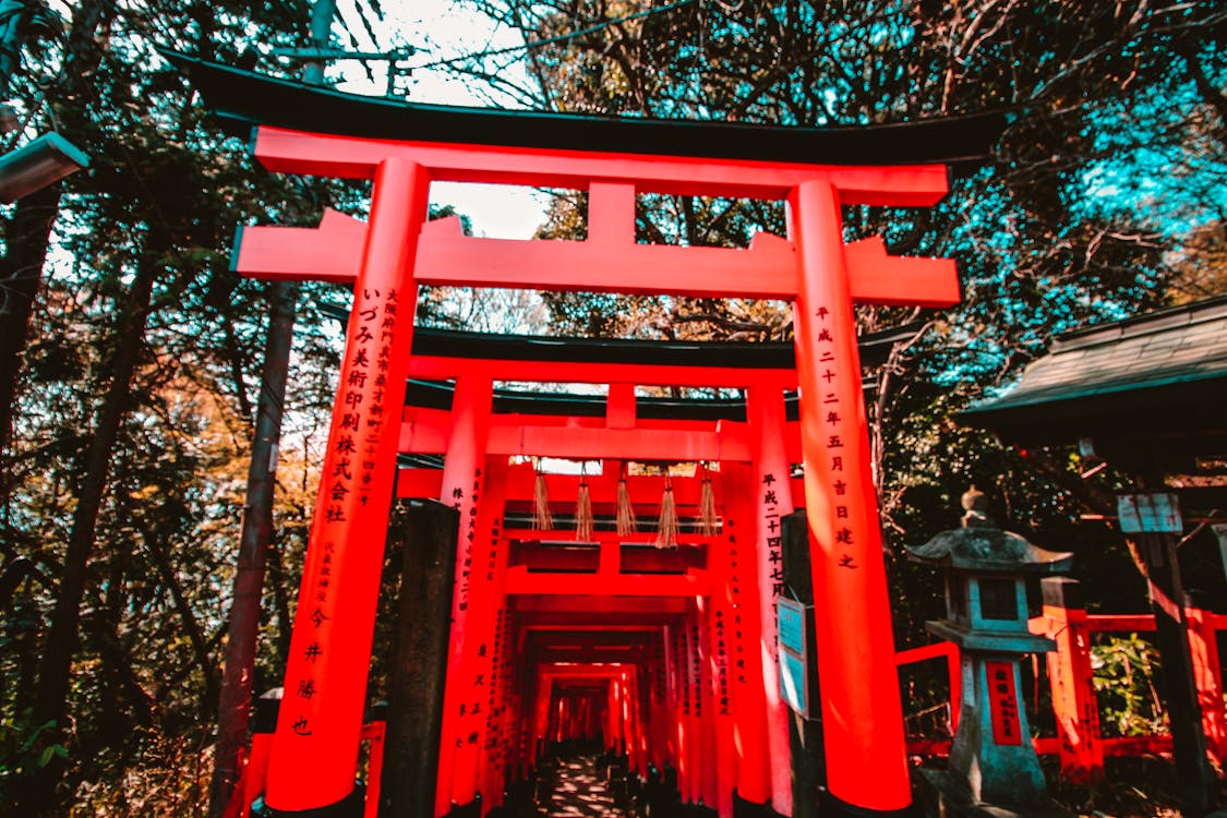 Free Stock Photo Of Japan Japanese Culture Red