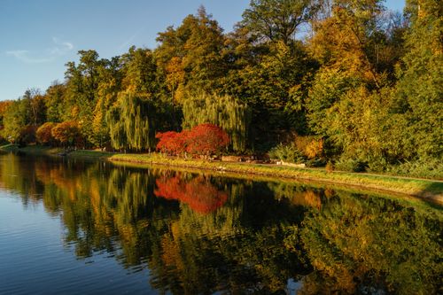 Free Beautiful autumn landscape with colorful trees reflecting in a pond in Kyiv, Ukraine. Stock Photo