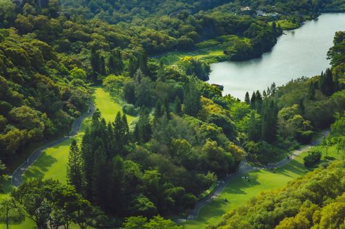 Free Aerial view of lush greenery and winding river in Xia Men Shi, Fu Jian Sheng, China, showcasing natural beauty and serene environment. Stock Photo