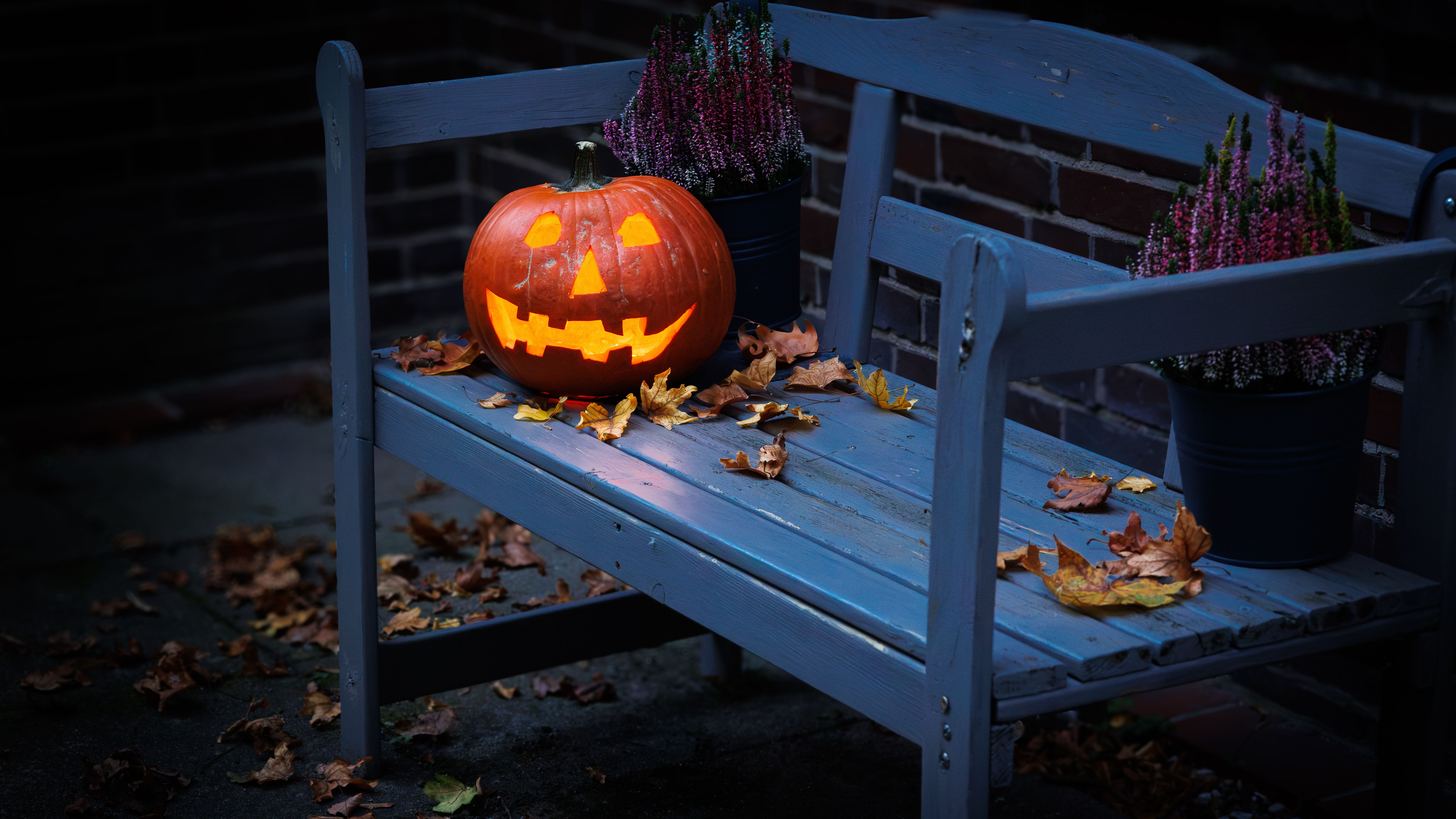 A glowing jack-o'-lantern sits on a bench surrounded by autumn leaves.