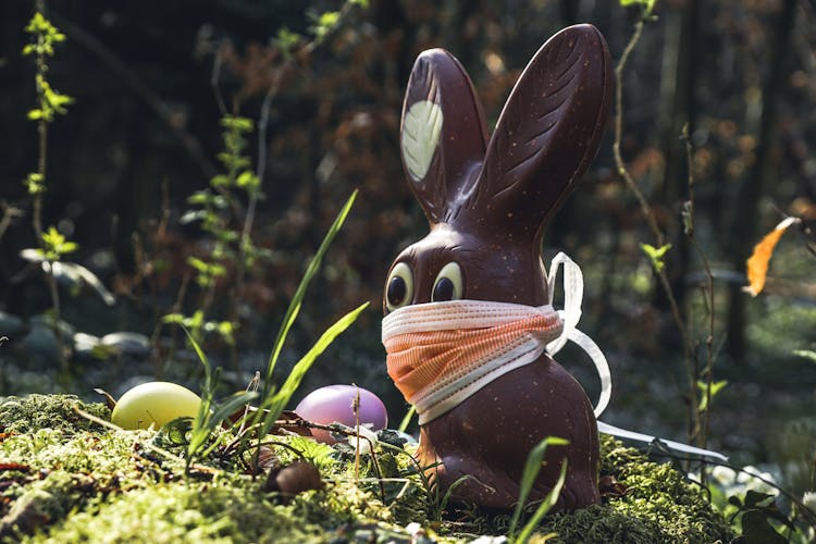 Face Mask On Chocolate Bunny