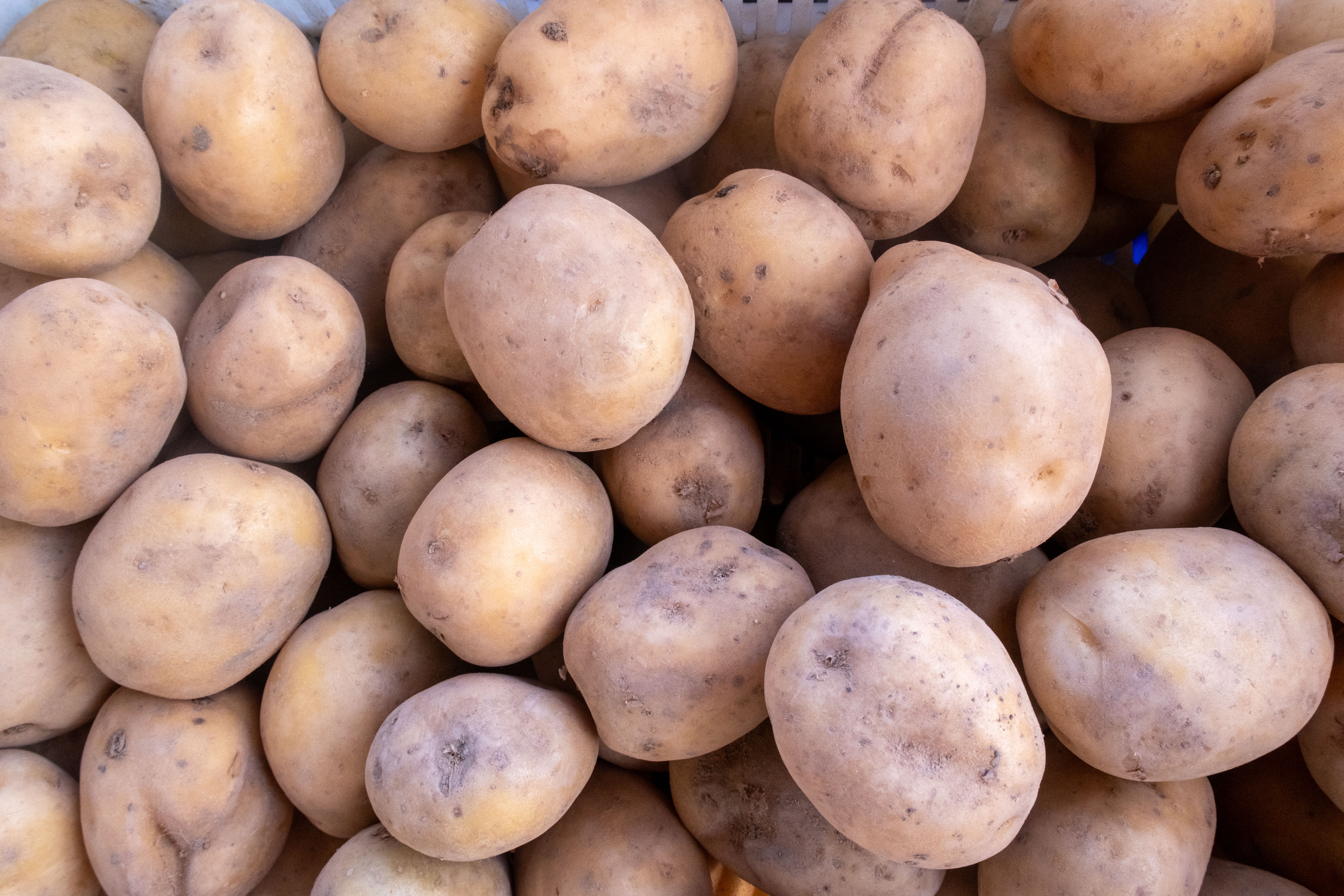 Legumes Frescos (kg)