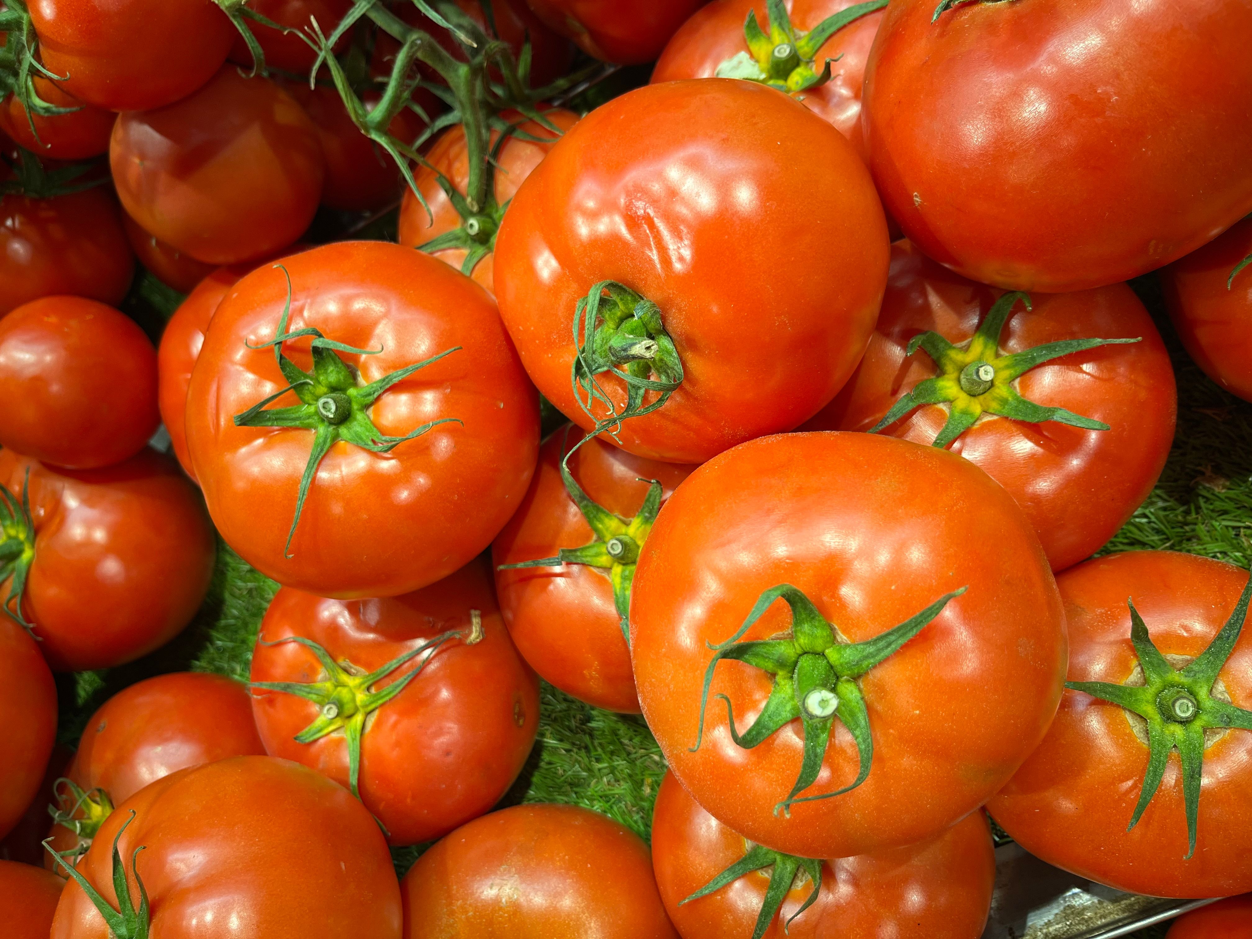 Tomate Italiano (kg)