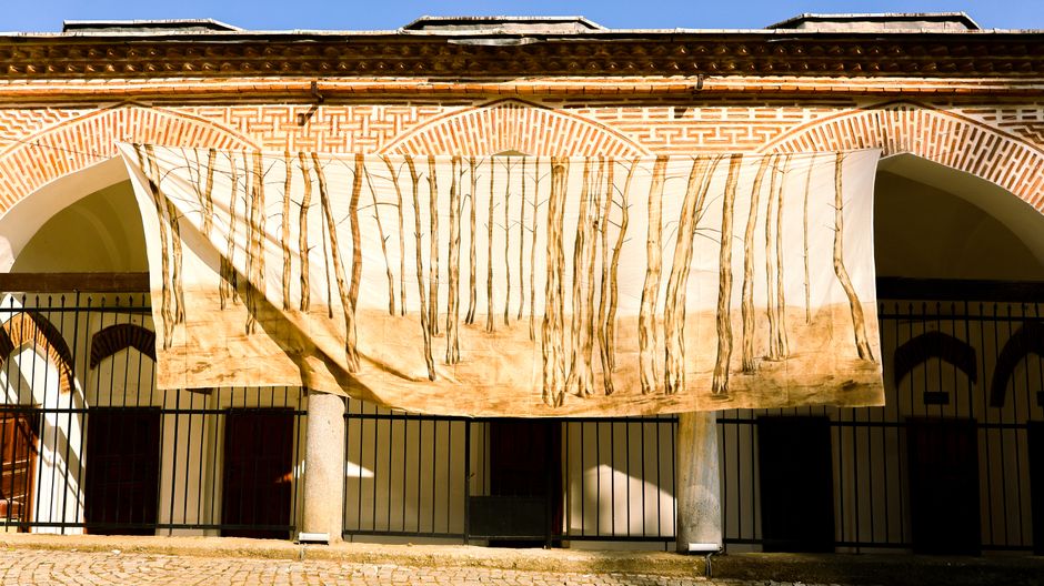 Sunlit historic building facade decorated with tree-themed art installation.