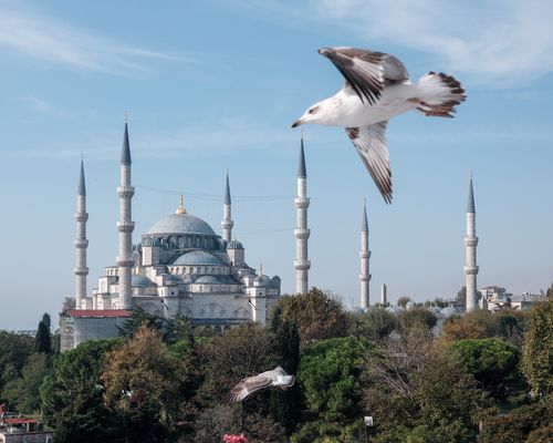 Free A stunning view of the Blue Mosque with seagulls soaring in the sky, capturing Istanbul's architectural beauty. Stock Photo