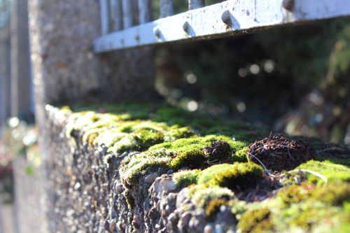 Free stock photo of close up view, fence, grid Stock Photo