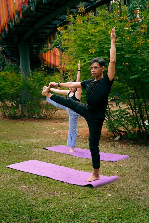 Free A diverse group of adults practicing yoga outdoors on purple mats, showcasing balance and focus. Stock Photo