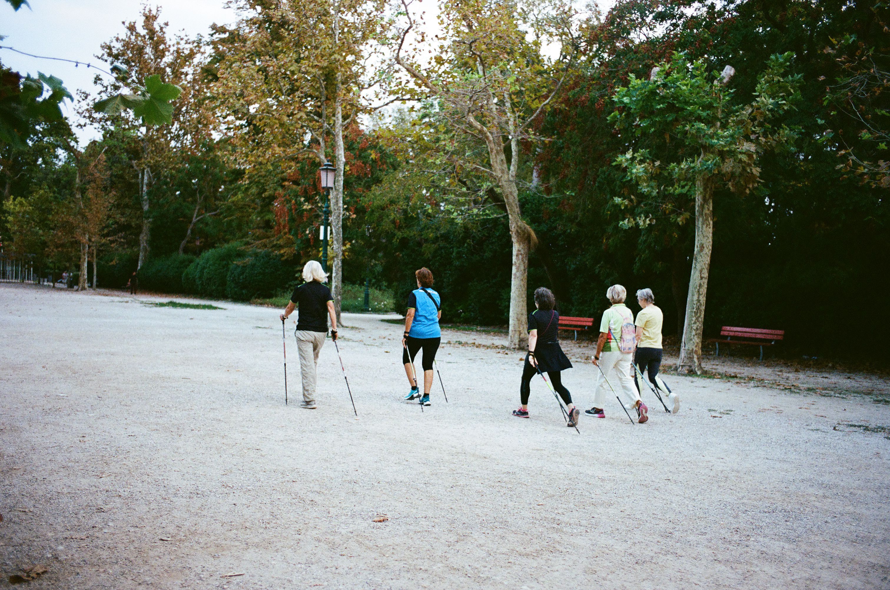 Les bienfaits de la marche nordique pour les seniors en 2026 