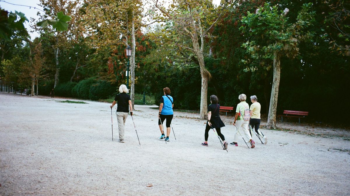 Les bienfaits de la marche nordique pour les seniors en 2026